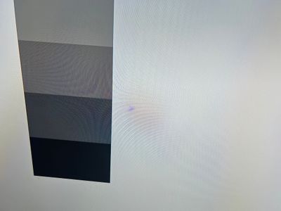 EAD31777-E6D9-4280-877A-F461BBC76B91.jpeg