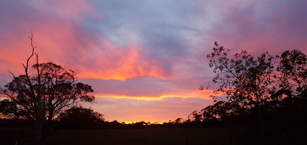 Un-zoomed Pro Mode