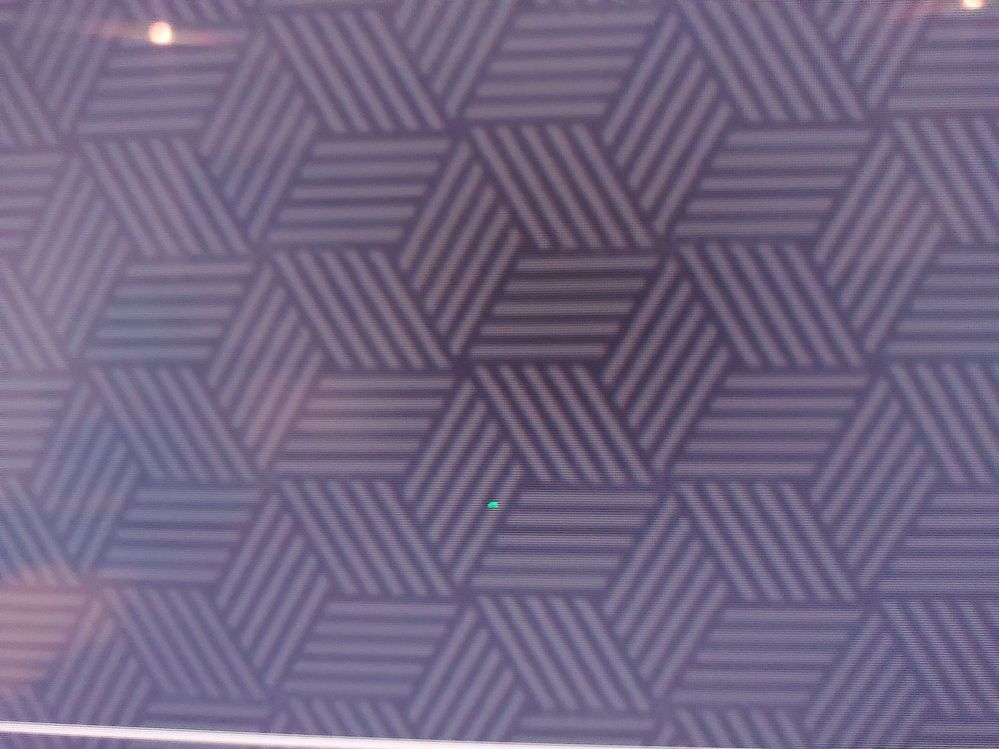 20220314_213238_resized.jpg