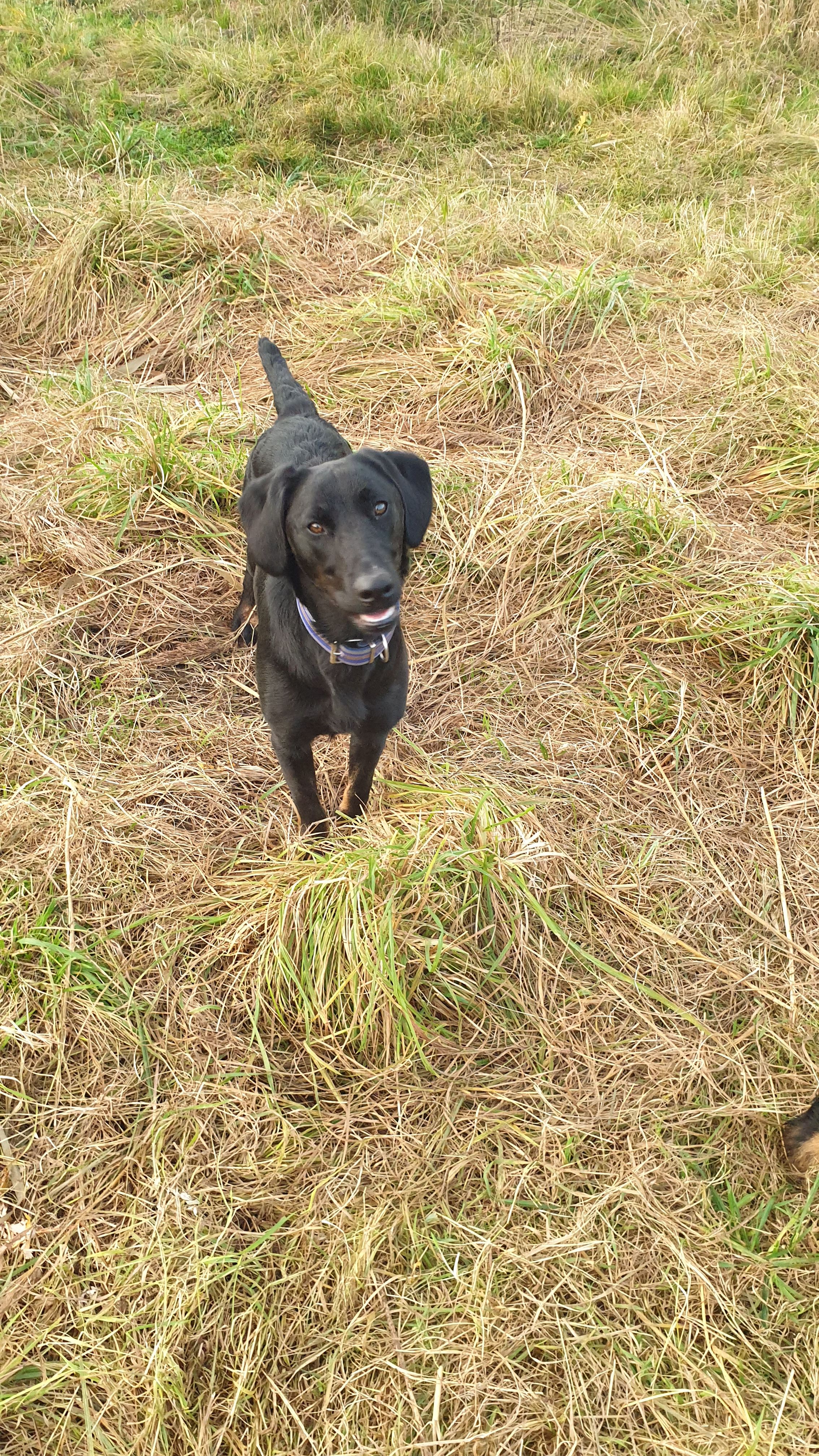 Samsung galaxy s9 Samsung Community