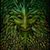 TheGreenMan