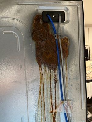Rust on back of fridge caused damage - Samsung Community