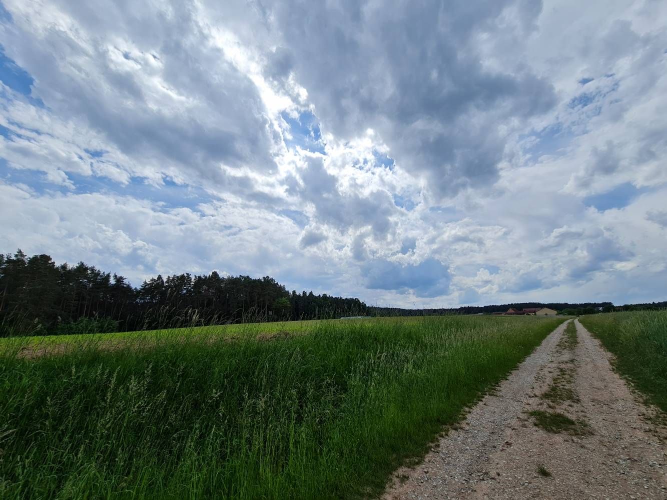 Mit offenen Augen durchs Leben gehen 🍀 Note20Ultra Samsung Community