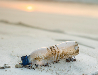 Pollution_Plastic_Bottles.PNG