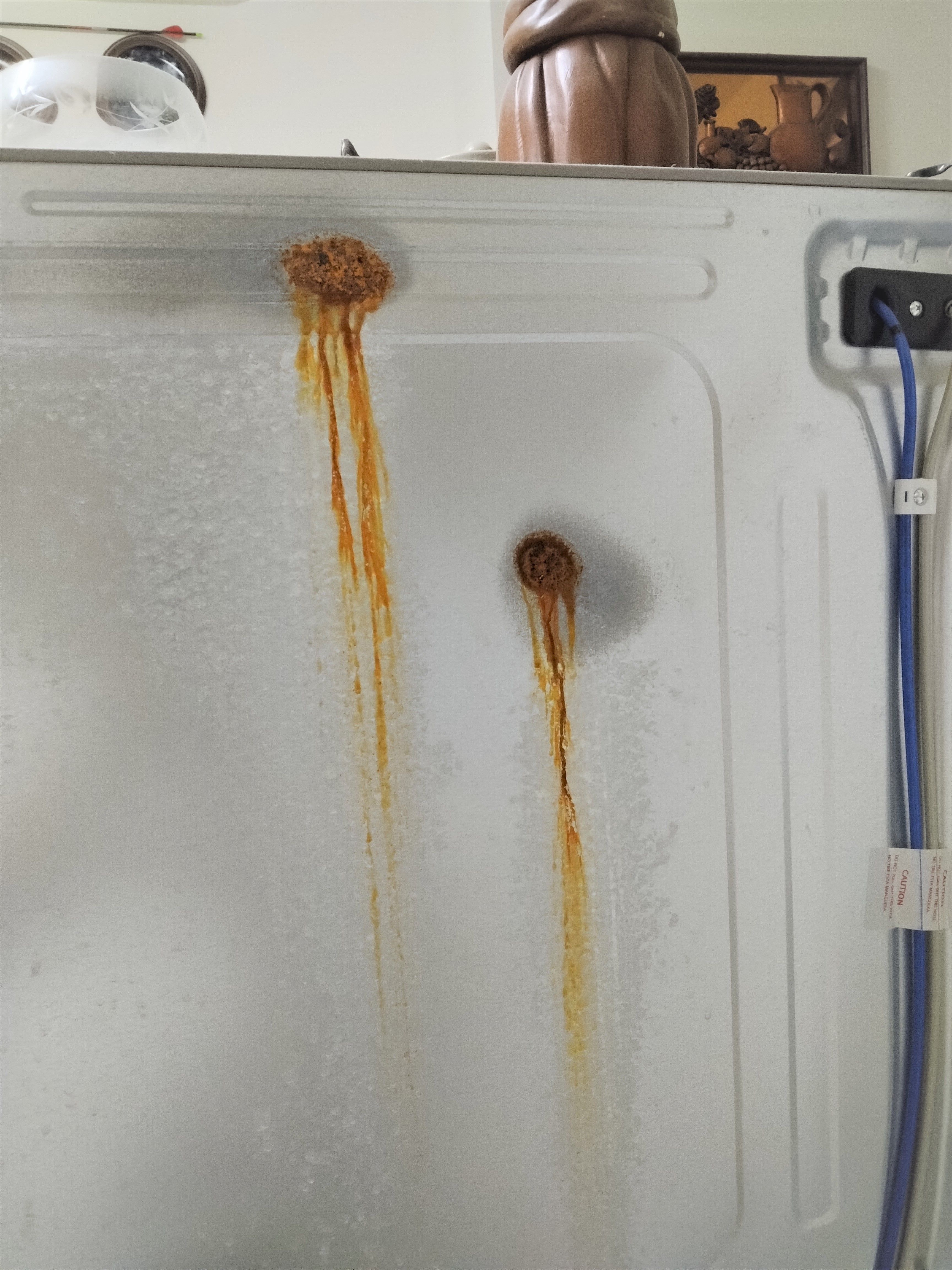 Rust on back of fridge caused damage - Samsung Community