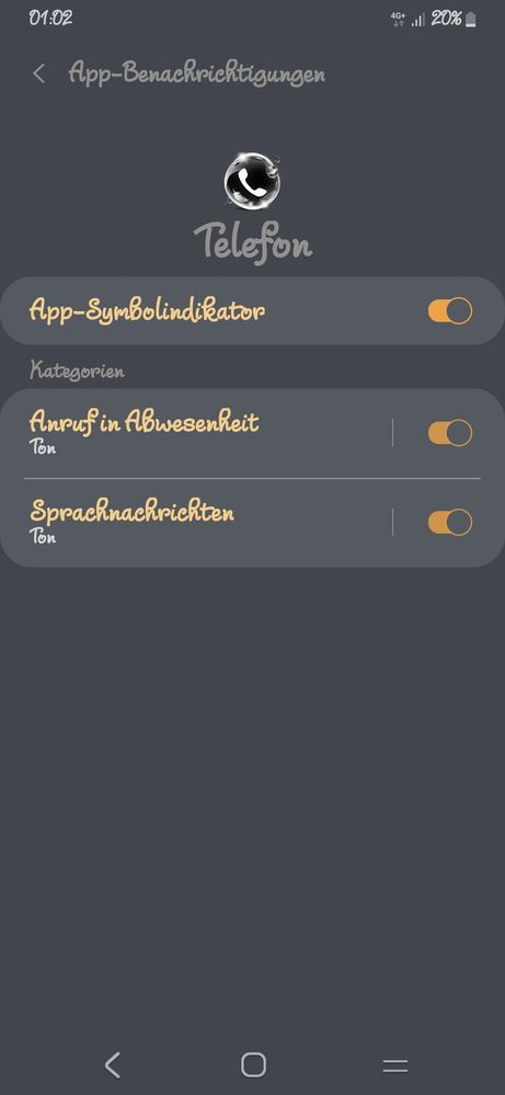 Screenshot_20200221-010229_Settings.jpg
