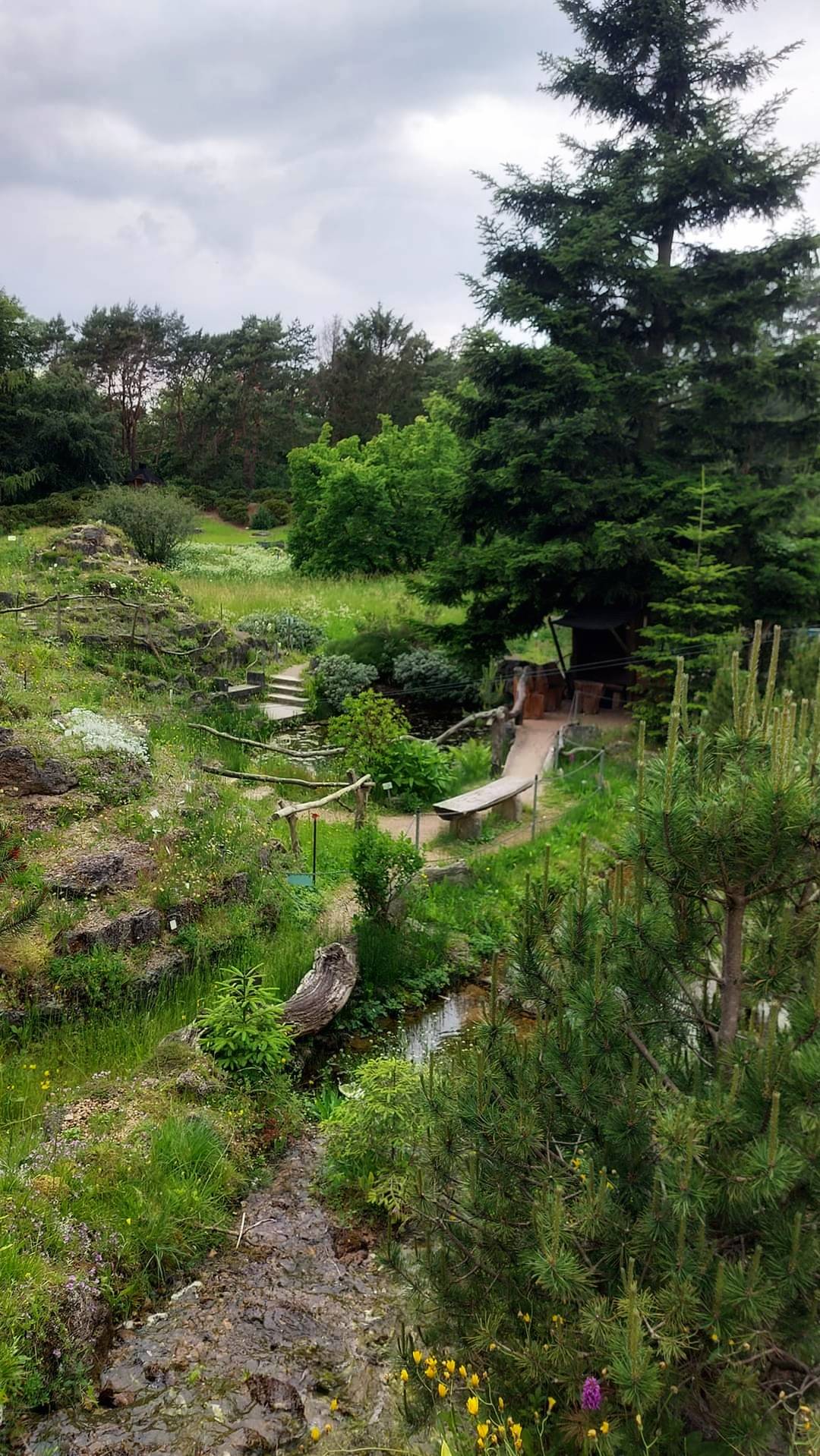 Loki Schmidt Garten Hamburg Samsung Community