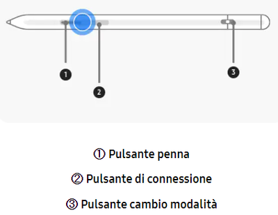 Andrea_C1_0-1668785744897.png