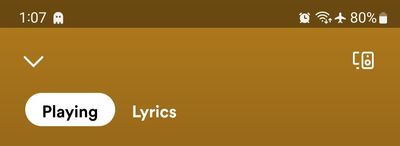 Screenshot_20221128_130715_Spotify.jpg
