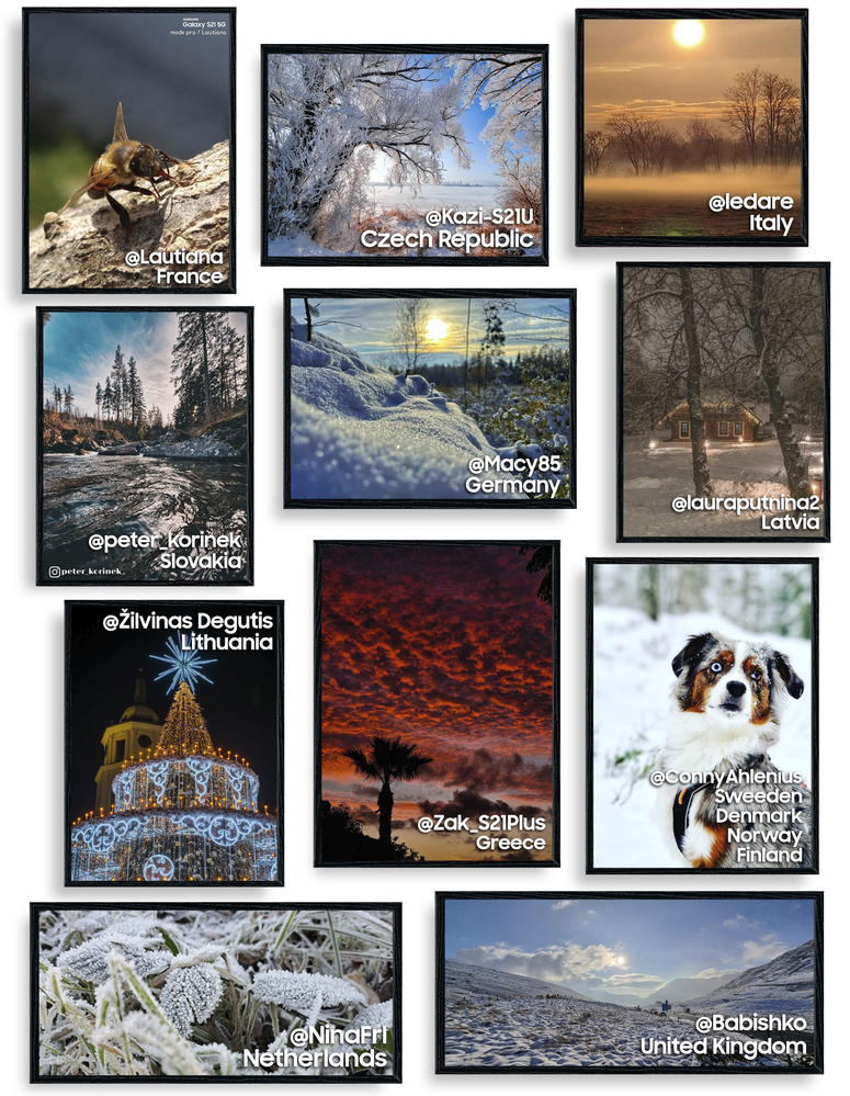 Photo of the Month December.png Photo of the Month December.png