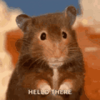 GIFs-8.gif