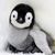 susy2576
