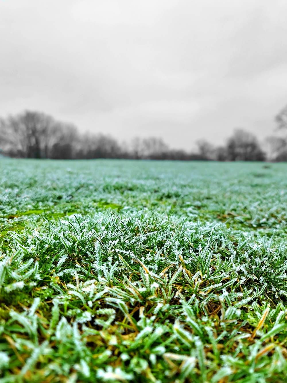 Freezing cold ️🥶 Samsung Community