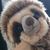 Mombert