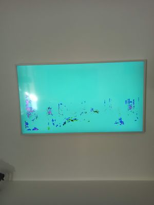 IMG_20200807_172655.jpg