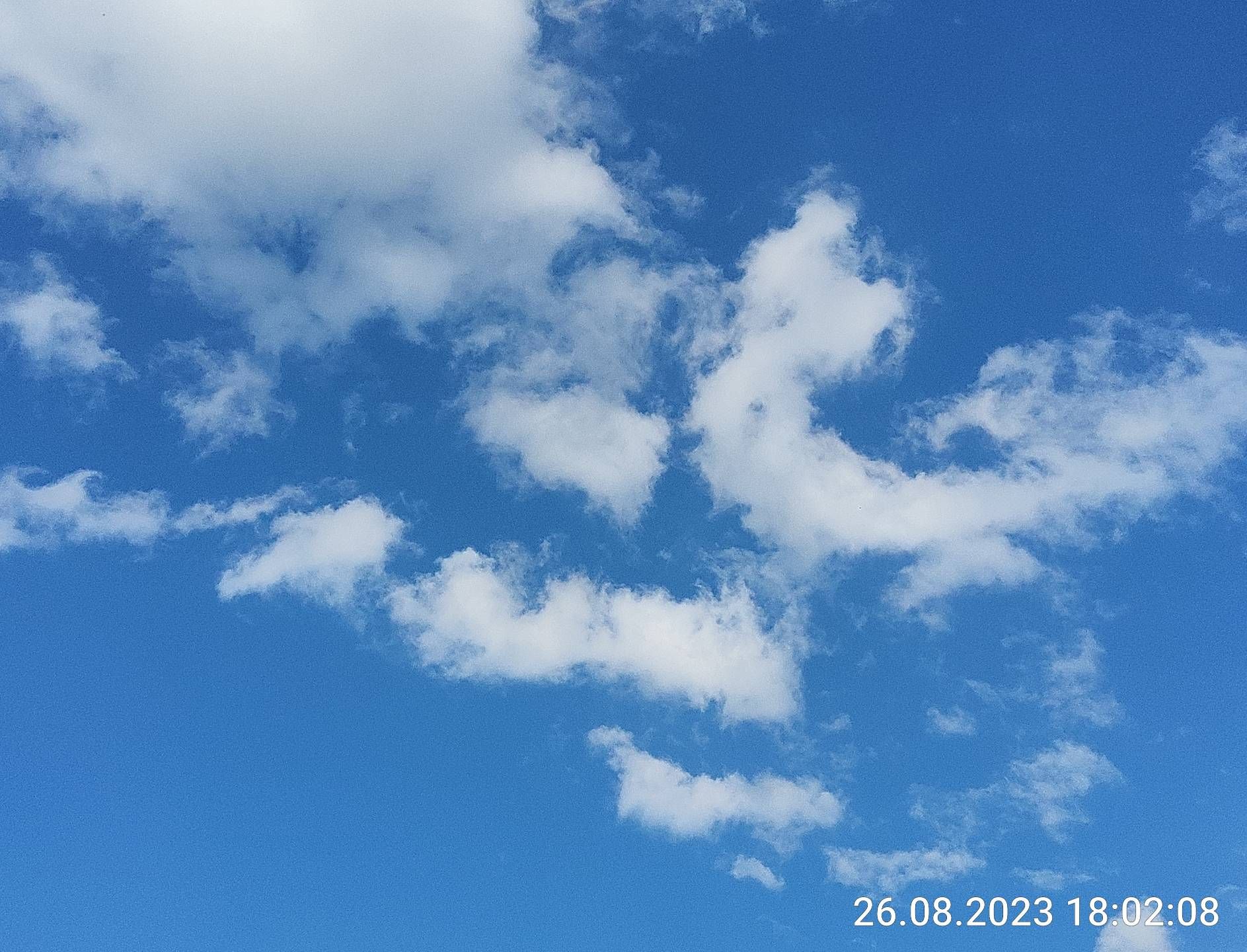 Wölkchen mit DSL App mit dem Tab S8 Ultra 5G Fotografiert - Samsung ...