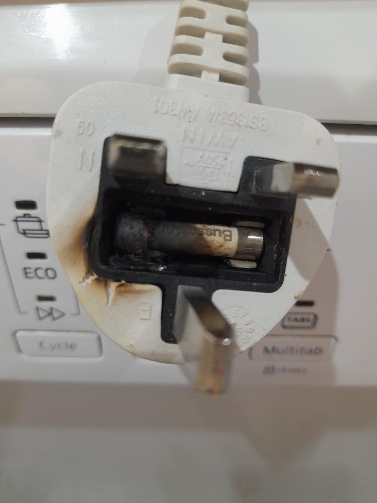 Samsung DW60H3010FW Burnt Plug.jpg