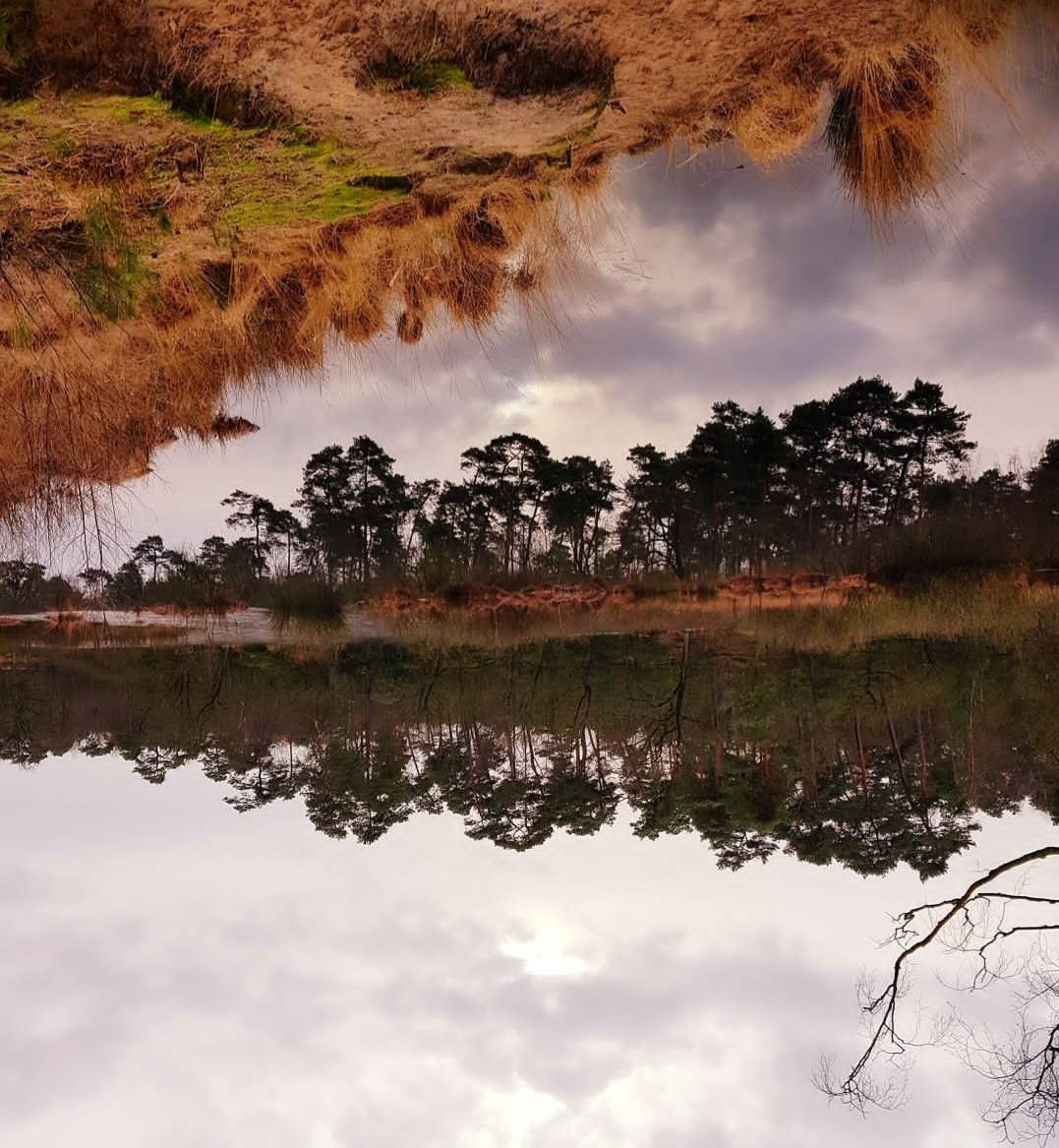 Upside down Samsung Community