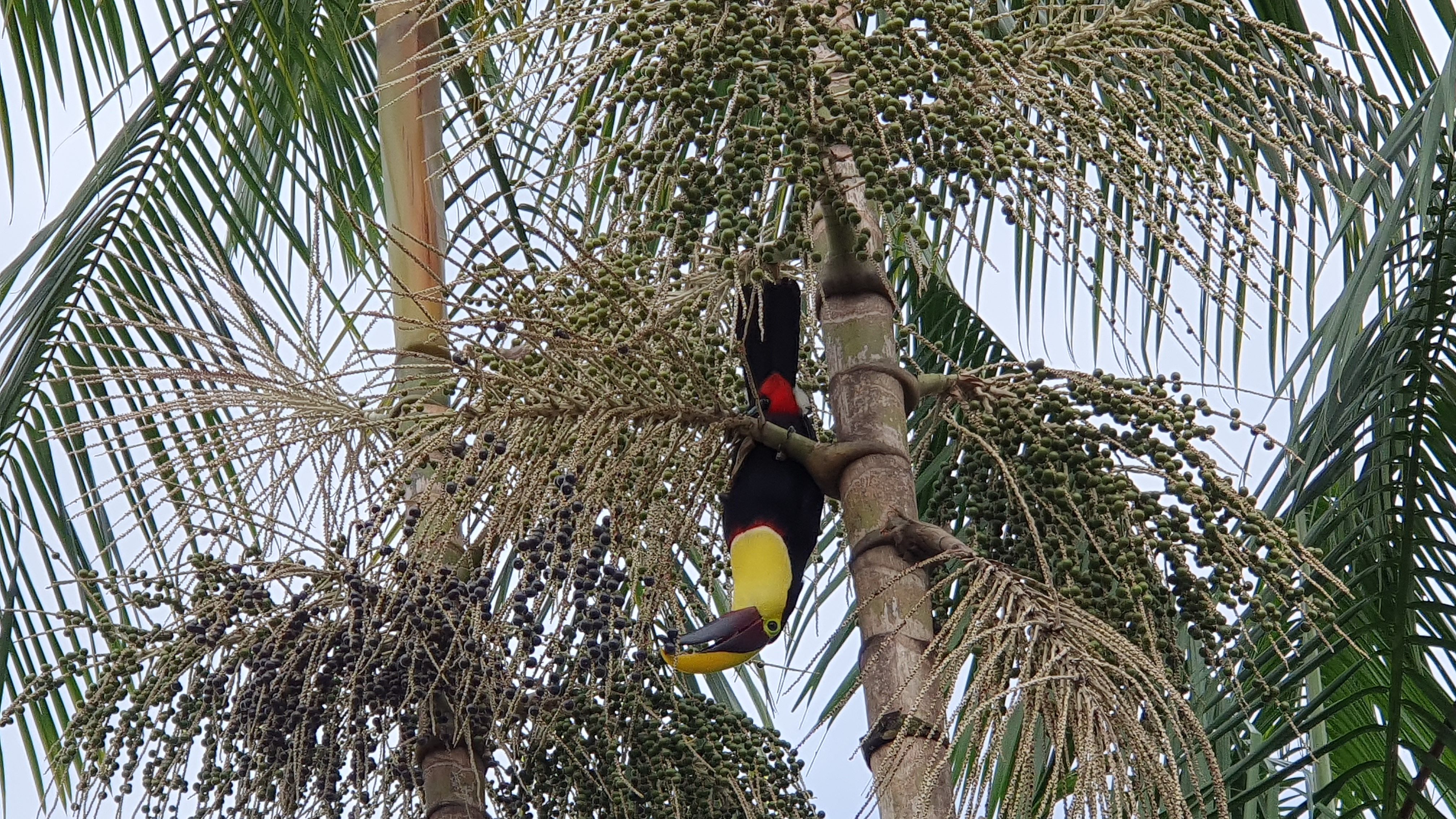 What's upside down? withGalaxy Samsung Community