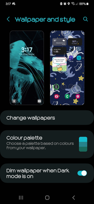 Screenshot_20230928_031716_Wallpaper and style.png