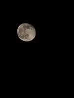 20240128_010343_1000085225_1706400227.jpg