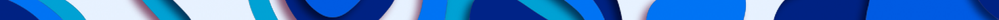 Blue Newsroom Footer.png
