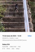 1711359861882.jpg