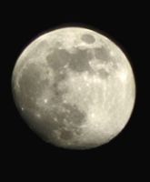 20240322_204521_1000007355_1712964025.jpg