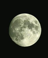 IMG-20231028-WA0018_1000007356_1712967065.jpg