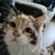 Tim_Van_Oers