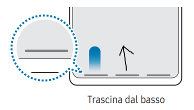 Cornelia_L_2-1715347063121.png