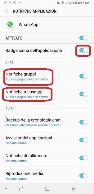 Problema notifiche whatsapp - Samsung Community