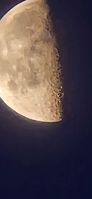 20240924_063333_1000000028_1727506150.jpg