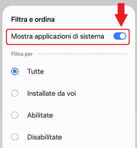 (Screenshot di Cornelia_L)