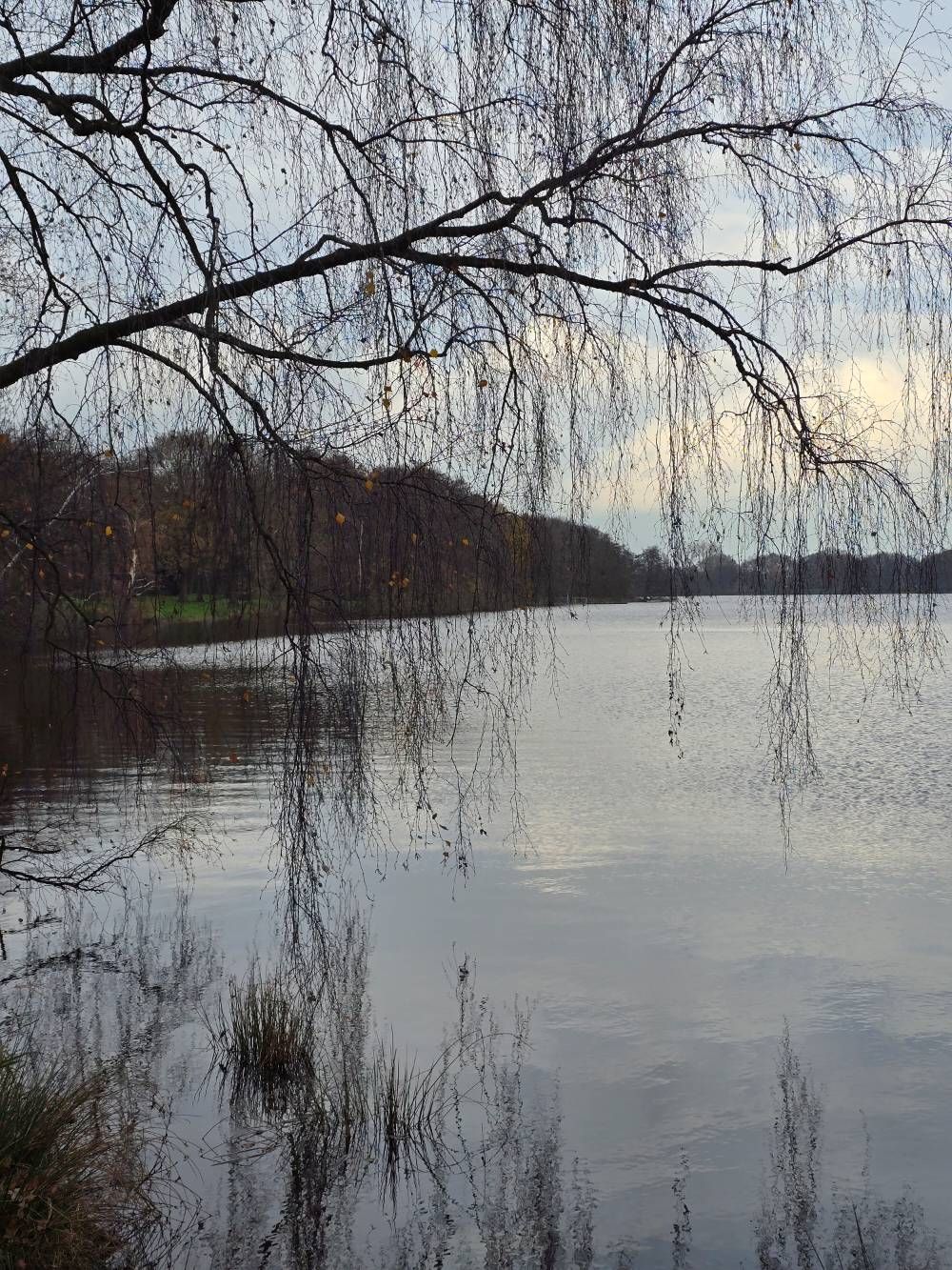 Kleine Runde um den See - Samsung Community