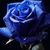 Liliame