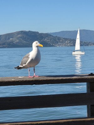 20250123_135013.jpg