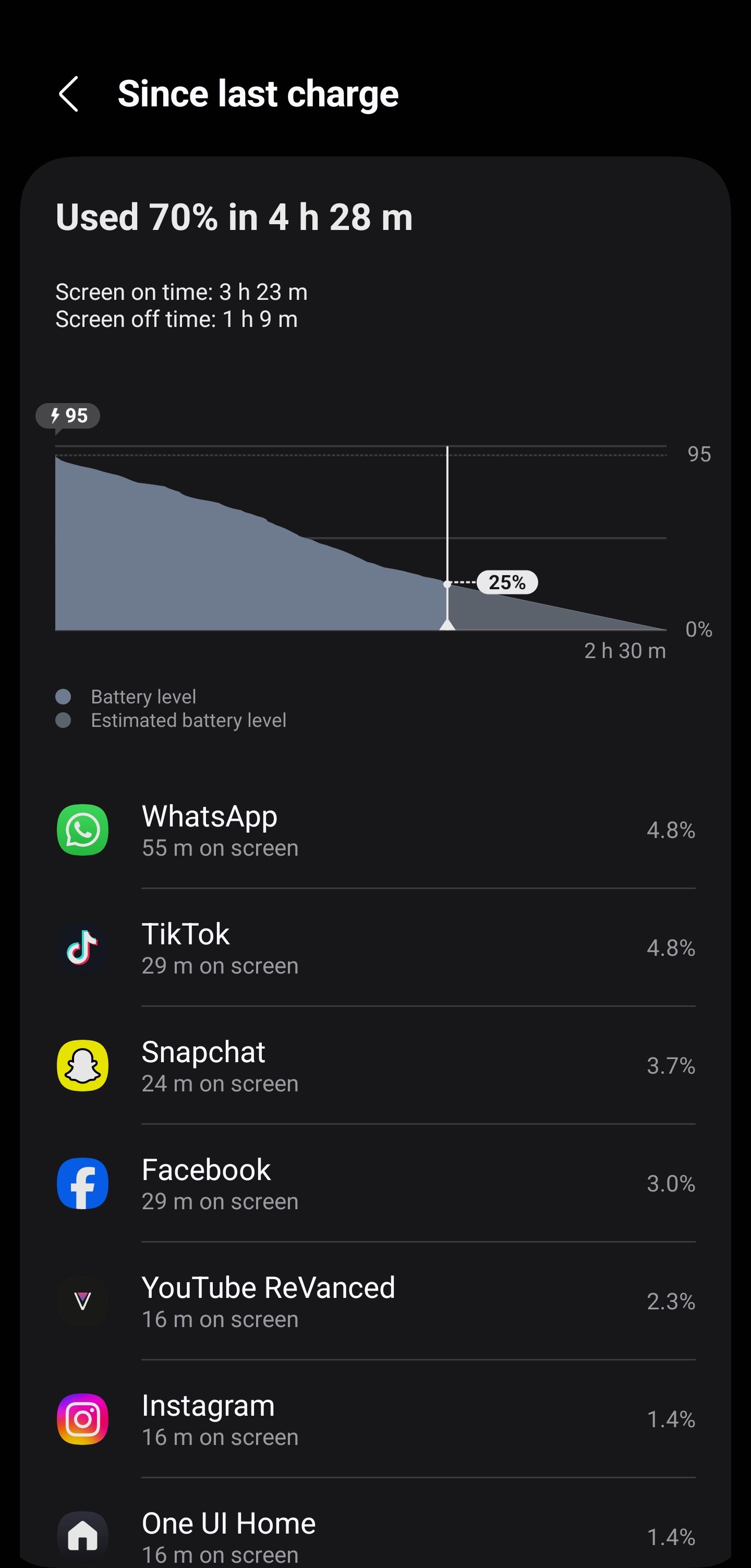 Samsung Galaxy S25 visual data 3