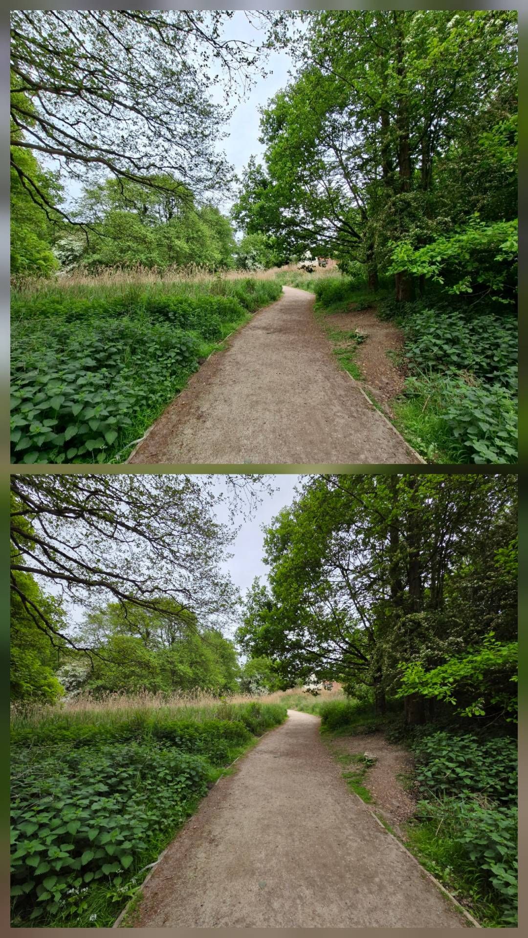 Galaxy A56 Sample Review // Basic Camera Examples #1 - Samsung Community