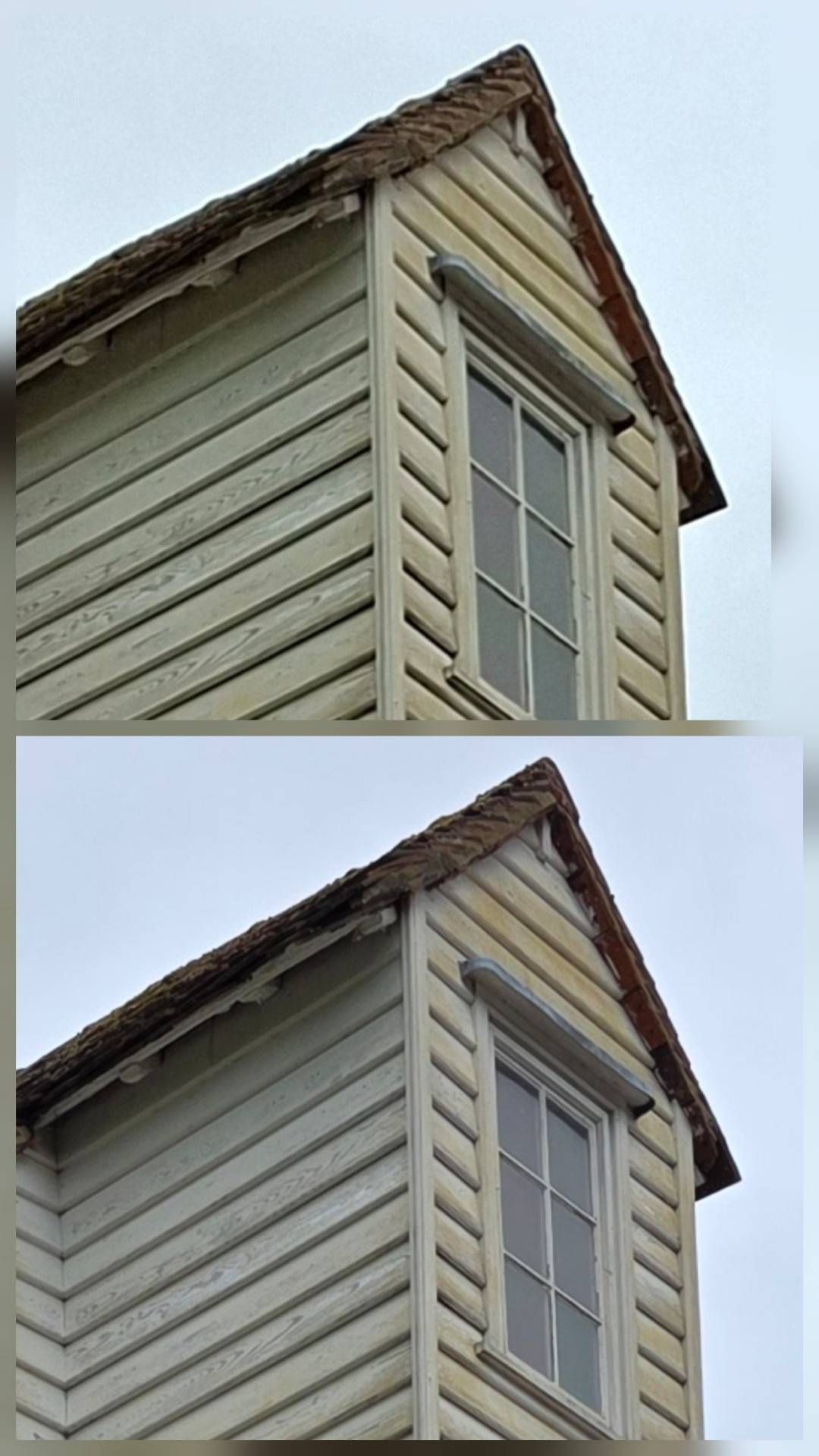 Galaxy A56 Sample Review // Basic Camera Examples #1 - Samsung Community