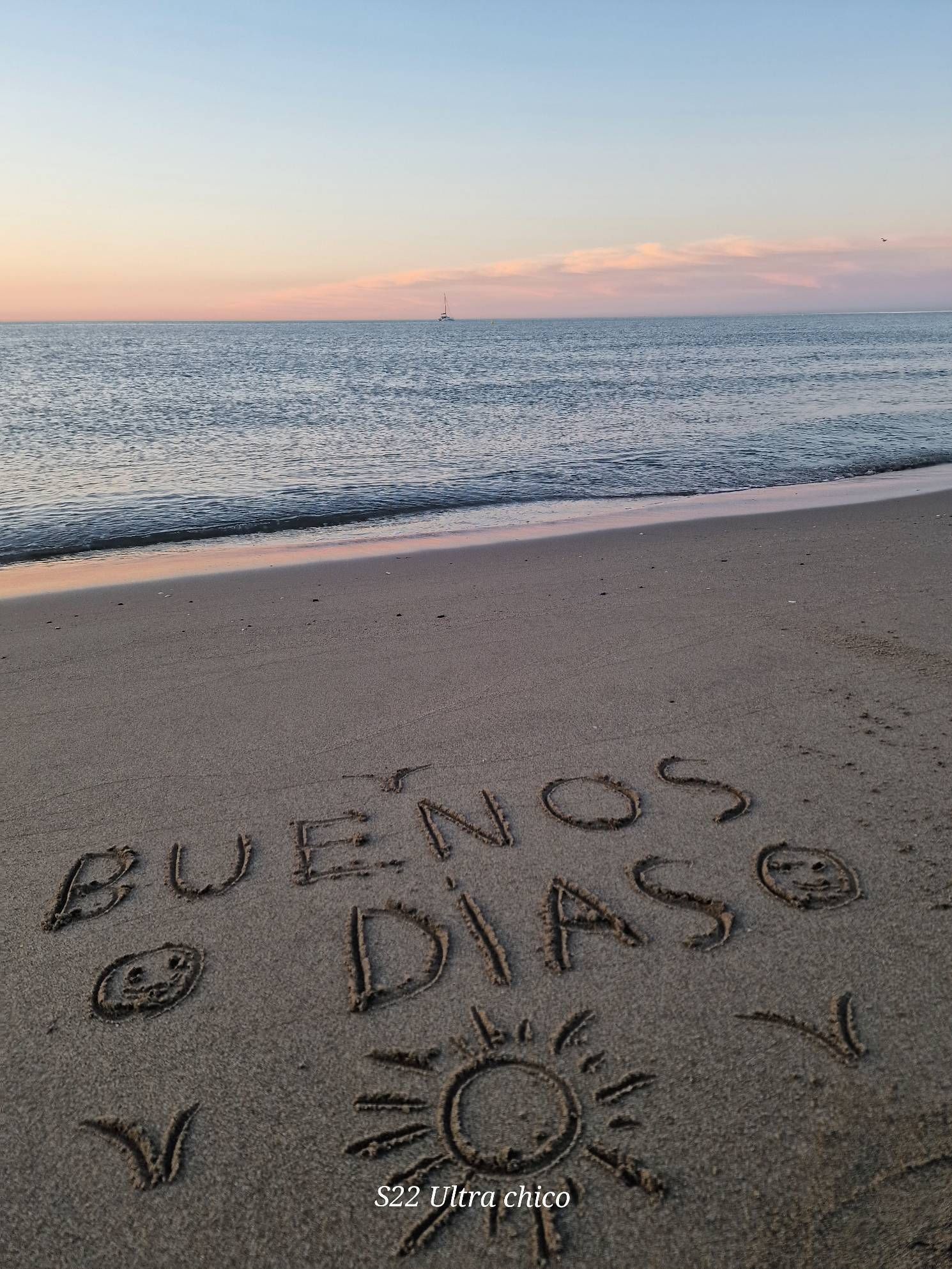 Comunidad - Fundación Huellitas Perrunas, image size:1490x1986