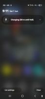 1749290894171.jpg