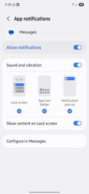 Screenshot_20250713_172856_Settings.jpg