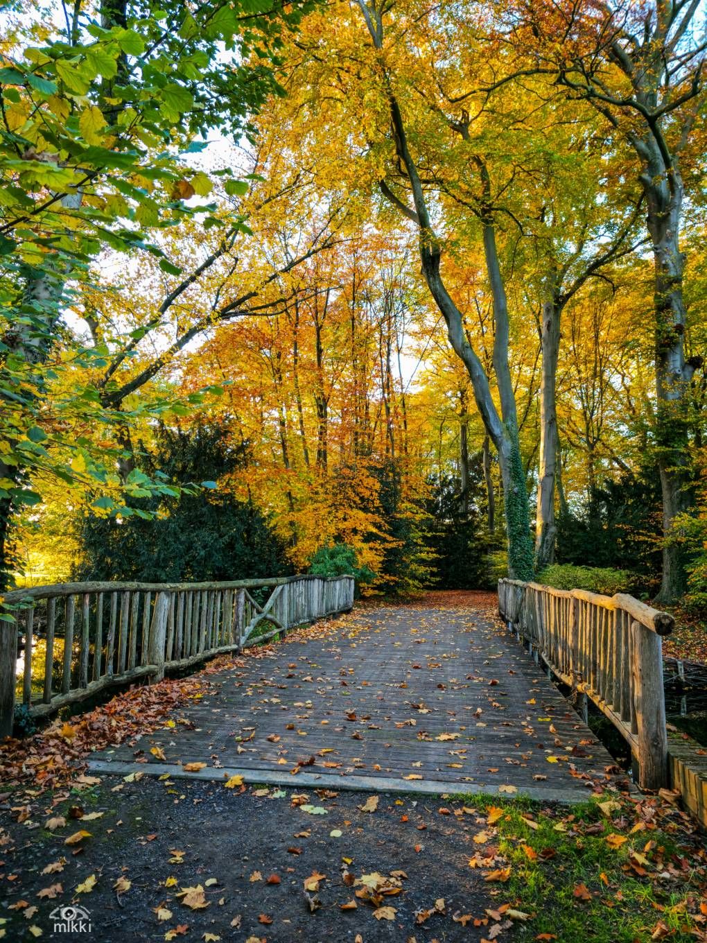 Friday Bridge - Samsung Community