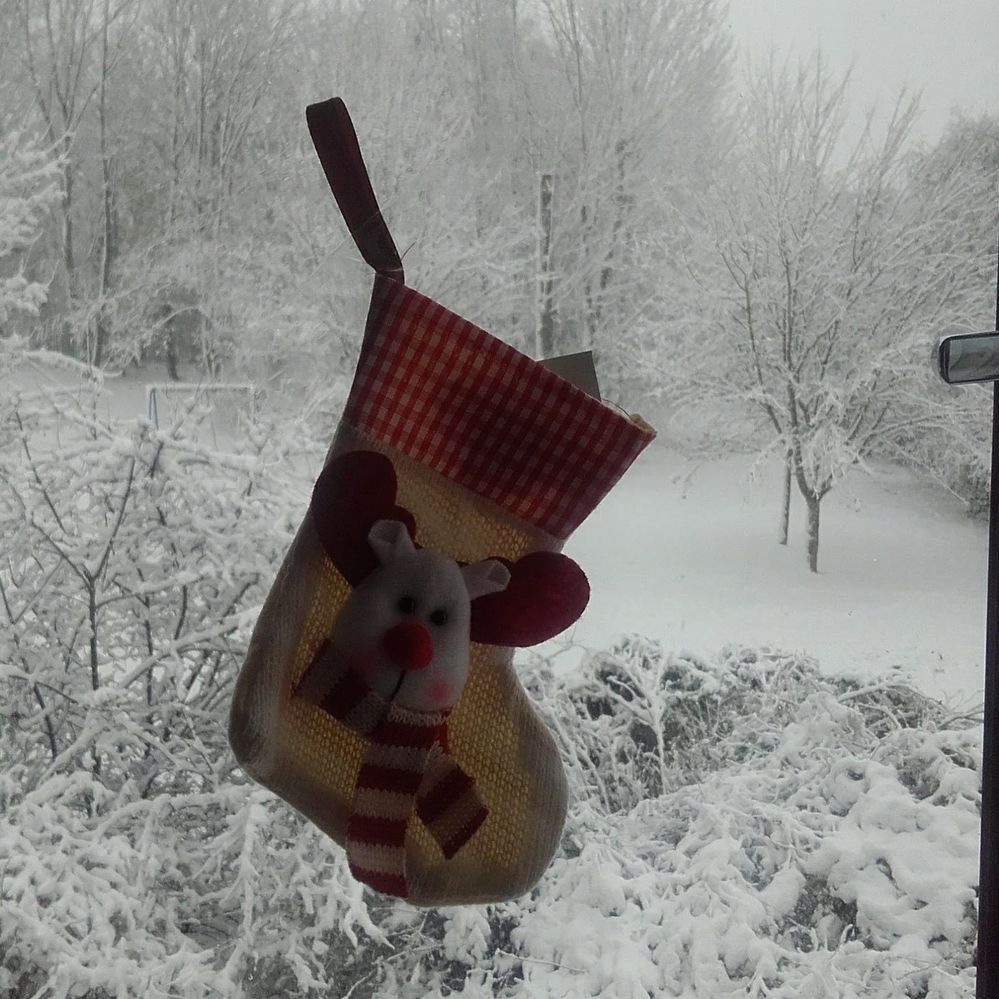 stockings and snow.jpg