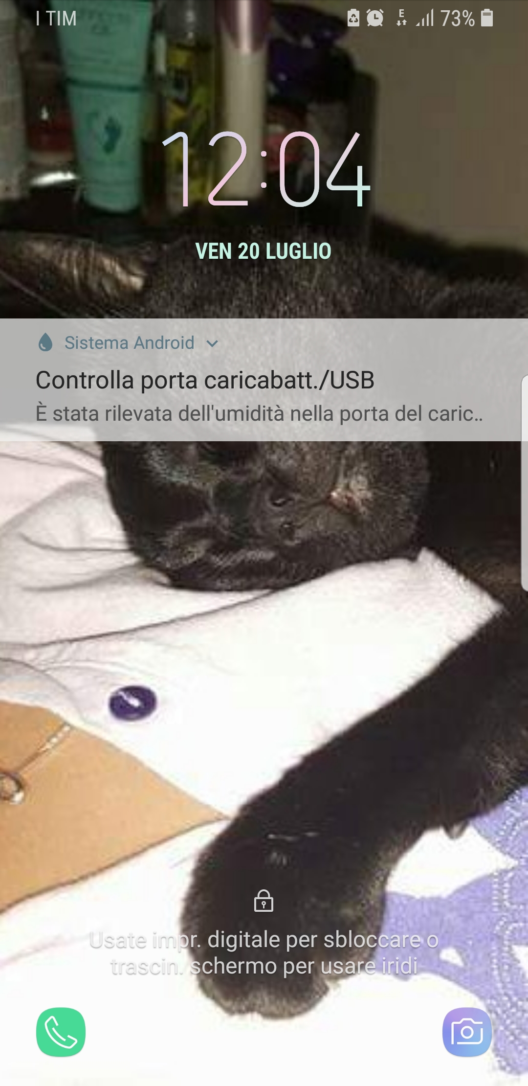 Come Scoprire Se Guarda La Tua Chat