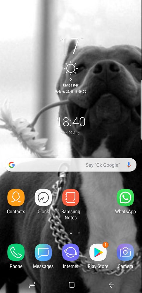 Solved: Status bar, Notifications tab on home screen vanished, battery life  and percentage, wifi, signal strength, message symbols. - Samsung Community