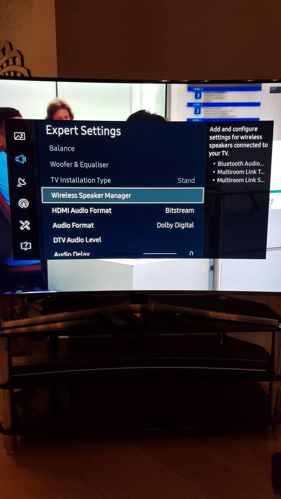 Going into the expert settings, you can change each speaker level