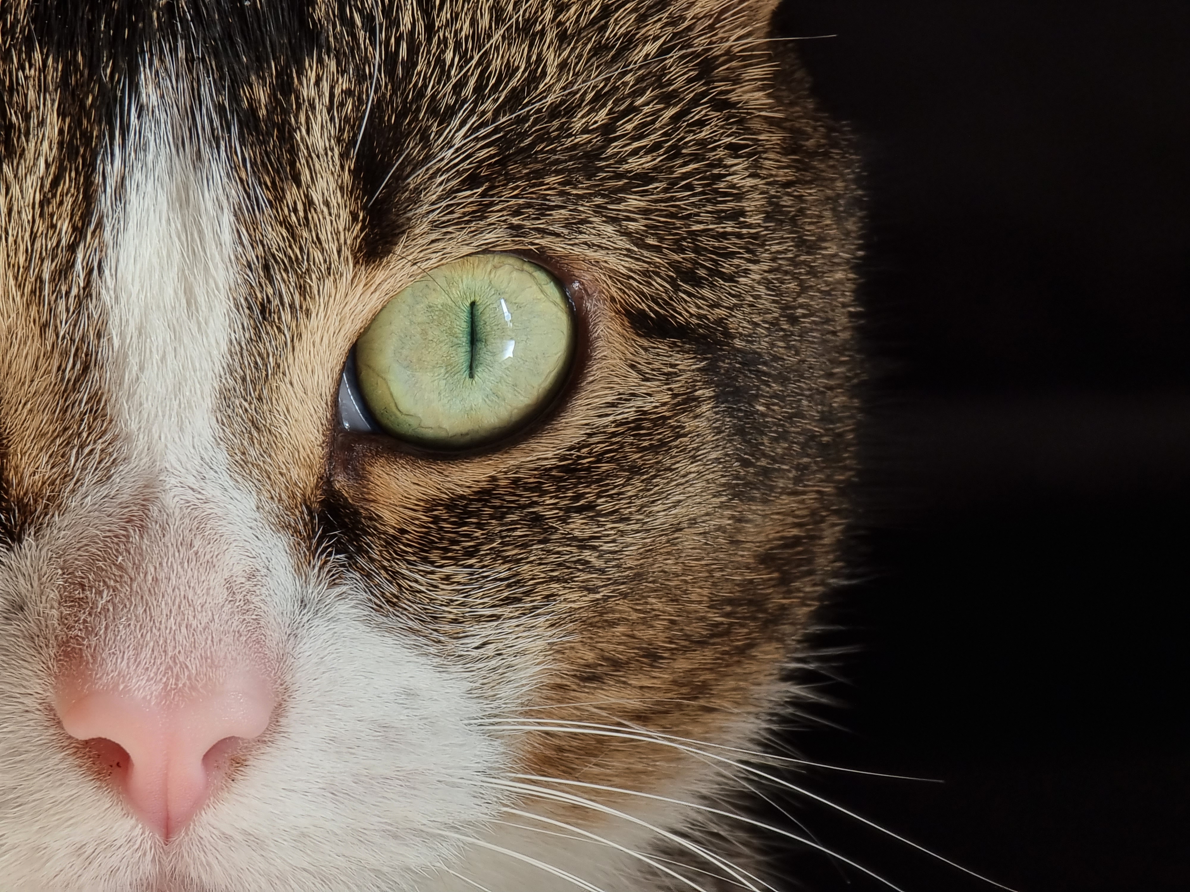 S21 Ultra Camera Terrible Quality Page 9 Samsung Community