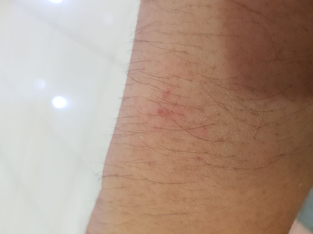 20181225_190707.jpg